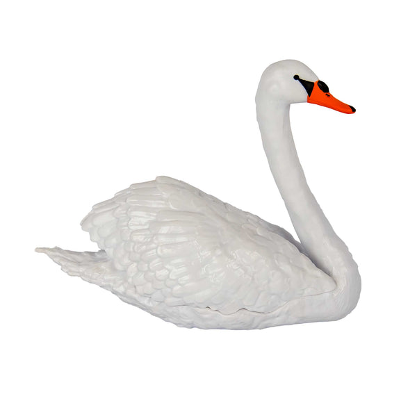 White swan with an orange beak on a white background